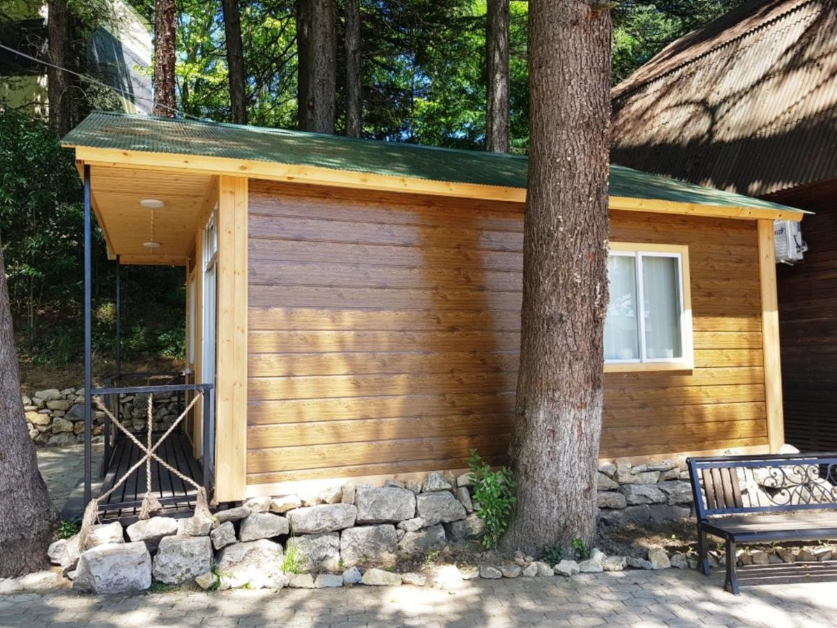 Park Hotel 쿠타이시 외부 사진
